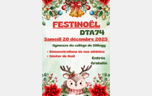 Festinoël